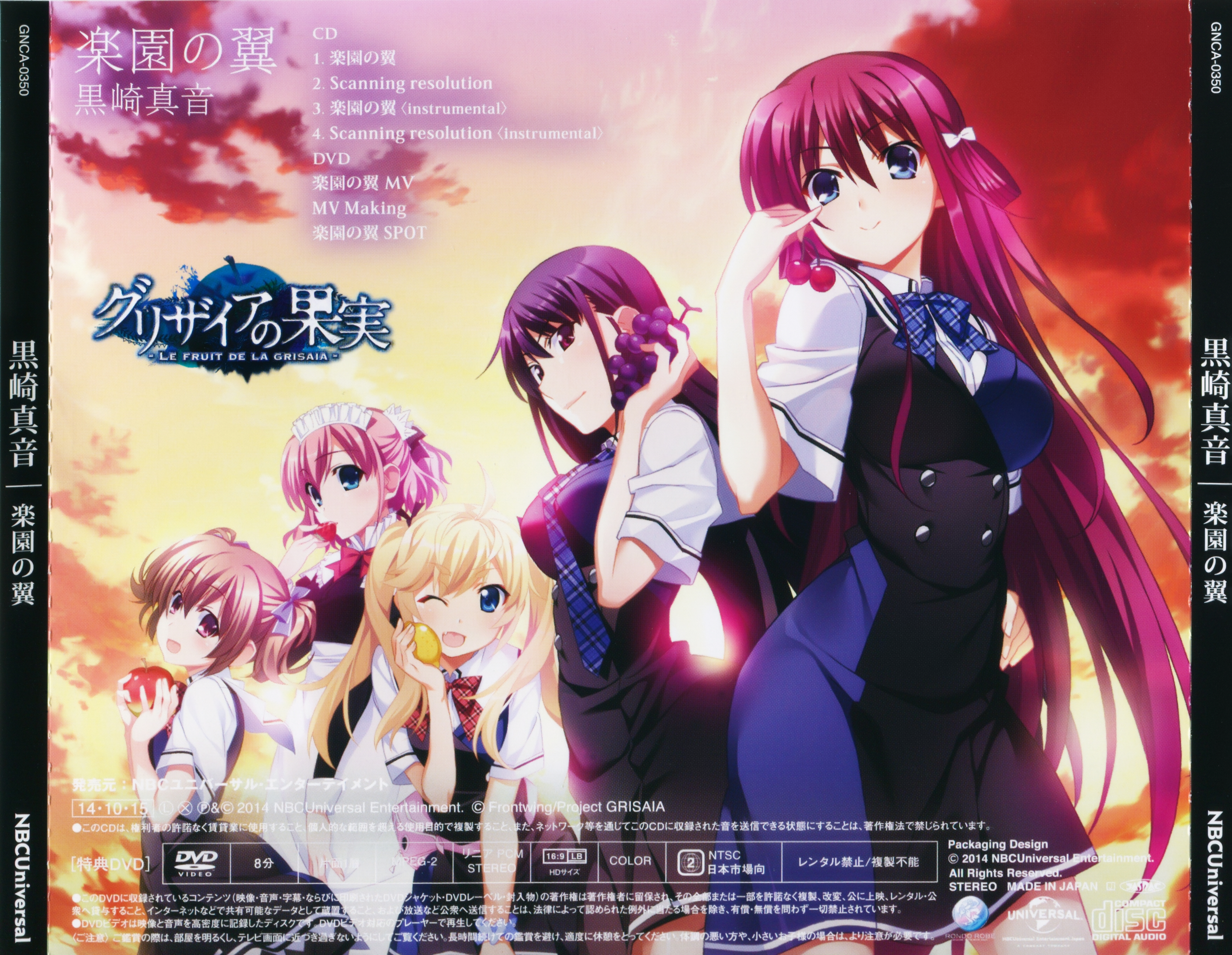 Case Cover Back Outer.jpg